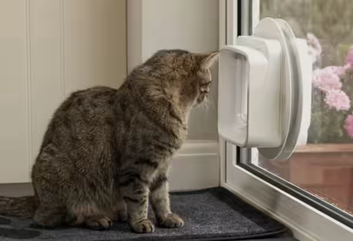 Pet Doors